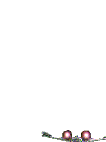 x-wing2.gif